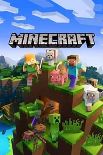 Minecraft Budget