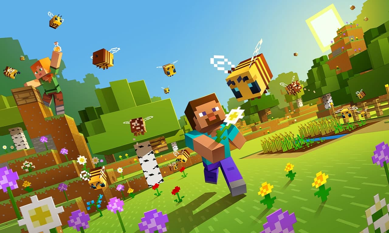 Minecraft Budget